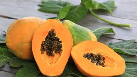 6 Kelompok Orang Ini Tidak Boleh Makan Pepaya, Siapa Saja?