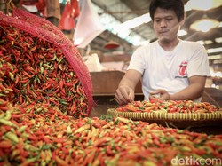 Harga Cabai Naik, Kementan Gelar Operasi Pasar Terbatas