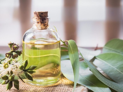 7 Tanaman Herbal untuk Redakan Flu, Tak Melulu Pakai Obat Bun!