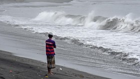 BMKG Ungkap Alasan Gempa M 5,9 di Halmahera Barat Tak Picu Tsunami