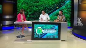 Investasi Lestari, Muba Harmonisasikan Bisnis dan Lingkungan