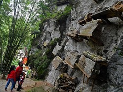 Menjelajahi Kuburan Batu di Kete Kesu