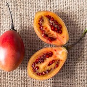 5 Manfaat Terong Belanda, Buah Kecil yang Ternyata Simpan Jutaan Kebaikan! Pernah Cobain?