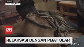 VIDEO: Relaksasi Dengan Pijat Ular