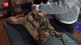 VIDEO: Mau Merasa Senang? Cobain Deh Dipijat Ular