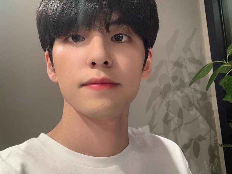 Lirik Lagu  (Highs and Lows) - Wonpil 