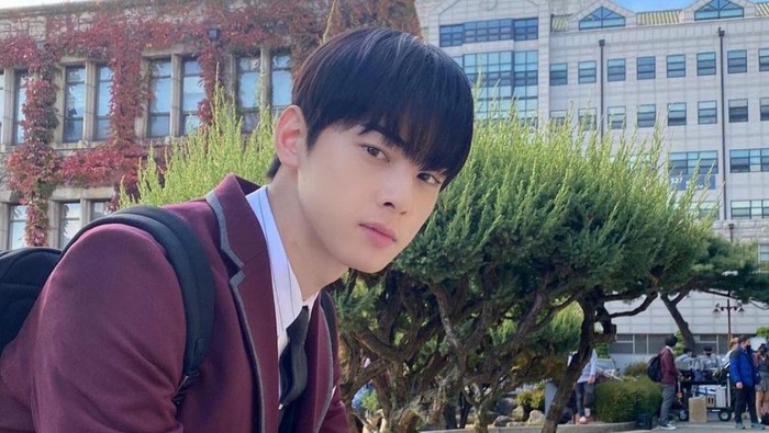 cha eun woo di true beauty