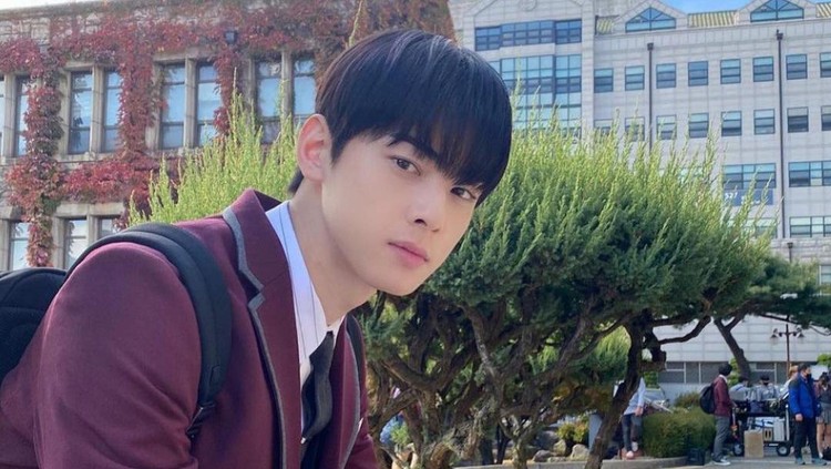cha eun woo di true beauty