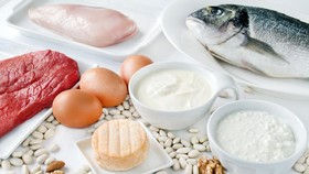 10 Makanan yang Mengandung Protein untuk Diet