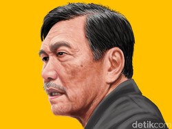 Heboh Ivermectin untuk Pasien COVID-19, Luhut: It Works