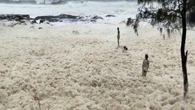 VIDEO: Cuaca Buruk, Pantai Queensland Dipenuhi Busa