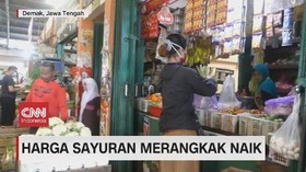VIDEO: Harga Sayuran Merangkak Naik