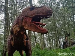 Aksi Dinosaurus Ngamuk yang Viral Akan Disuguhkan di Mojosemi Forest Park