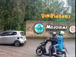 Usai Viral Video Dinosaurus Ngamuk, Pengunjung Wisata Ini Naik 4 Kali Lipat