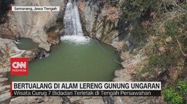VIDEO: Bertualang di Alam Lereng Gunung Ungaran