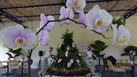 FOTO: Ragam Pohon Natal Unik di Indonesia