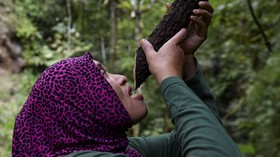 FOTO: Dedikasi Ranger Perempuan Penjaga Hutan Aceh