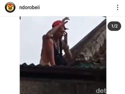Video Warga Tangkap Maling Ketiduran di Atas Genting Viral
