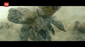 VIDEO: Box Office Hollywood Pekan ini, Monster Hunter