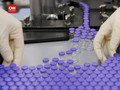 VIDEO: Vaksin Pfizer Diterima, 27 Negara Eropa Siap Divaksin