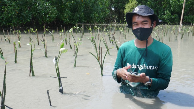 Seluruh proses GoGreener Carbon Offset mulai dari menghitung jejak karbon, memilih lokasi penanaman, dan pembayaran via GoPay dapat dilakukan di aplikasi Gojek.