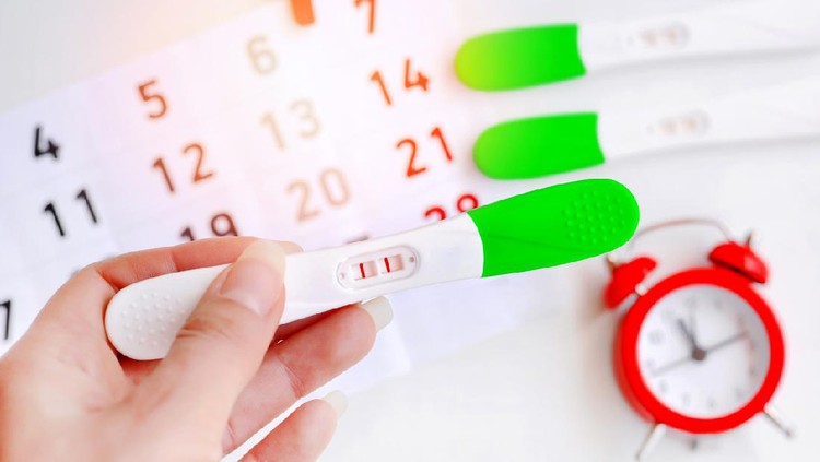 menstruasi Young woman hand holding Ovulation test strip with calendar and red clock in background. Positive result. It is a time for baby.Gynecology concept