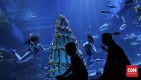 Harga Tiket Masuk Jakarta Aquarium Safari 2023 dan Cara Belinya