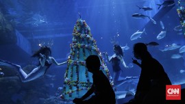 FOTO: Putri Duyung Rayakan Natal di Bawah Laut