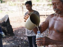 Tuak Khas Malaka Wajib Ada di Upacara Adat, Tak Diizinkan Pemerintah