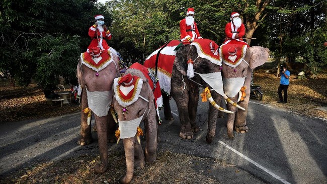 Gajah sinterklas sudah bertahun-tahun ikut merayakan Natal di Thailand. Tahun ini, para gajah ikut memakai masker dalam rangka kampanye pencegahan Covid-19.