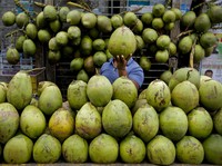 Waktu Terbaik Minum Air Kelapa, Jangan Sembarangan Waktu Terbaik Minum Air Kelapa, Jangan Sembarangan