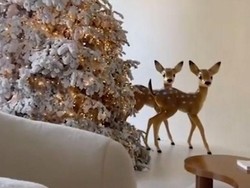 Kim Kardashian Pamer Dekorasi Natal, Dibilang Menyedihkan Mirip Kamar Mayat