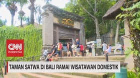 VIDEO: Taman Satwa di Bali Ramai Wisatawan Domestik