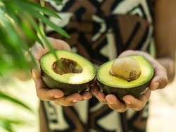 6 Tips Memilih Alpukat yang Bagus, Matang, dan Siap Dikonsumsi