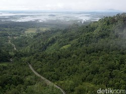 2 Suku Bangsa Paling Besar di Kalimantan