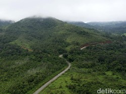Asal-usul Nama Kalimantan: Dari Bahasa hingga Sejarah