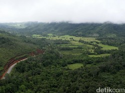 8 Makanan Khas Suku Dayak Ngaju di Kalimantan Tengah