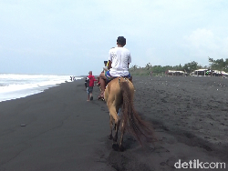 Bisa Berkuda di Pantai Watu Pecak, Lumajang