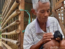 Geger Domba Bermata Satu, Lahir di Tepi Citarum Setelah Natal