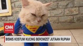 VIDEO: Bisnis Kostum Kucing Beromset Jutaan Rupiah
