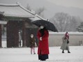 FOTO: Sepi Istana Gyeongbok di Musim Dingin Pandemi