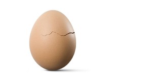 5 Cara Mengecek Telur yang Masih Layak Makan