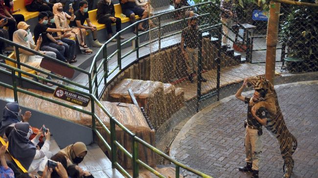 Lewat promo Serbu Seru 78, pengunjung bisa memperoleh potongan harga tiket untuk masuk Taman Safari Bogor hanya dengan membayar Rp178 ribu.
