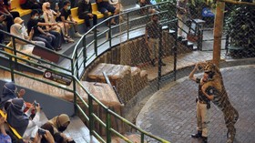 7 Rekomendasi Tempat Wisata untuk Anak Libur Sekolah di Bogor