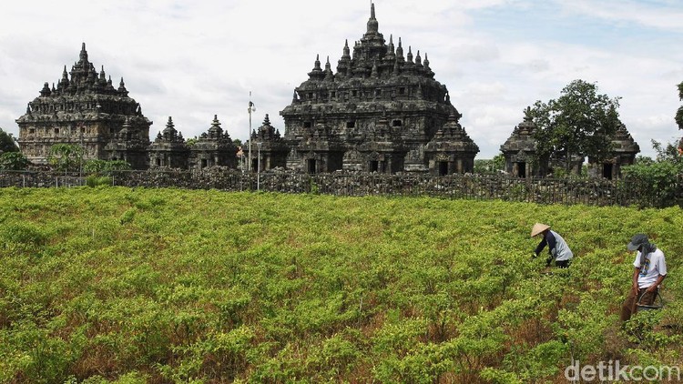 Petugas keamanan menyampaikan informasi penutupan komplek wisata Candi Plaosan kepada pengunjung di depan pintu gerbang Candi Plaosan, Klaten, Jawa Tengah, Selasa (29/12/2020). Penutupan dilakukan setelah ada laporan petugas yang terpapar COVID-19.