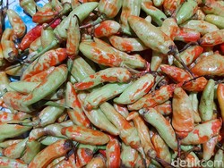 5 Fakta Cabe Rawit Dicat Merah Demi Harga Tinggi