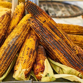 4 Tips Memilih Jagung yang Bagus untuk Dibakar saat Malam Tahun Baru