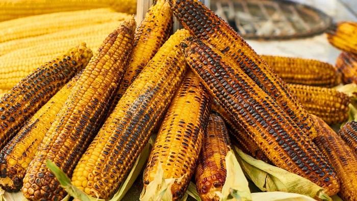 4 Tips Memilih Jagung yang Bagus untuk Dibakar saat Malam Tahun Baru