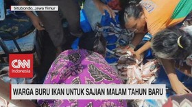 VIDEO: Warga Buru Ikan Untuk Sajian Malam Tahun Baru