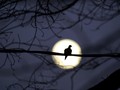 FOTO: Bulan Purnama Terakhir 2020 di Berbagai Belahan Dunia